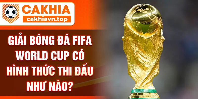 Giải bóng đá FIFA World Cup có hình thức thi đấu như nào?