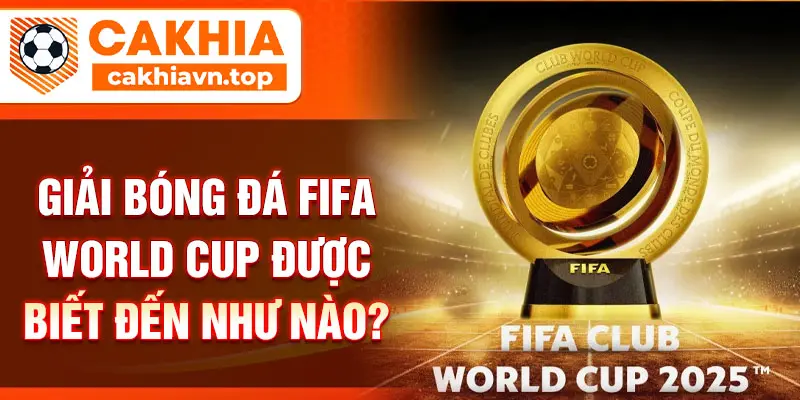 Giải bóng đá FIFA World Cup được biết đến như nào?