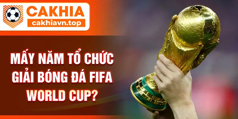 Mấy năm tổ chức giải bóng đá FIFA World Cup?